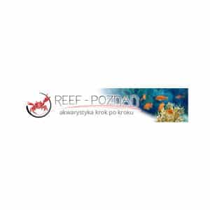 REEF-POZNAN