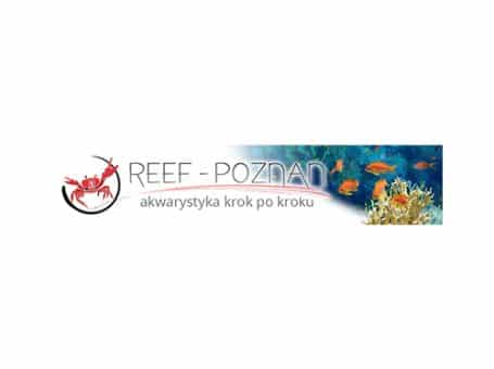 REEF-POZNAN