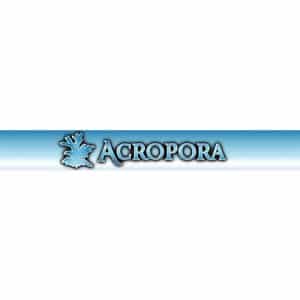 Acropora
