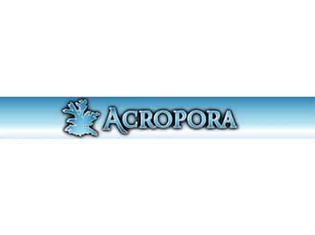 Acropora